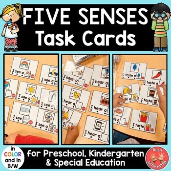 Five Senses Task Boxes -Literacy & Science Activities-Preschool, Special Ed