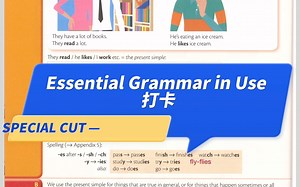 英语语法学习，推荐剑桥essential grammar in use