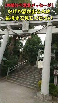 【神様から緊急メッセージ】なぜか涙が出る人へ伝えたいこと#shorts #スピリチュアル#癒し#心に響く言葉 #前向きになれる言葉 #運気上昇 #希望 ♯開運♯ヒーリング♯瞑想♯浄化#ショート動画
