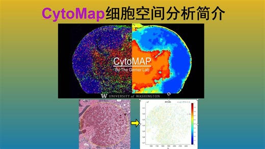 CytoMap细胞空间分析简介
