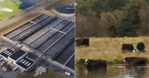 FRONTLINE:Contaminated: The Carpet Industry’s Toxic Legacy Season 2026 Episode 1