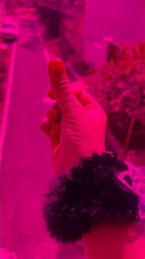 # comedy # video 😂😂