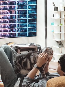 Samsung MicroRGB: Ahn Hyo Seop and Cat Baul | Vision AI Companion