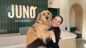 Too many pets, not enough vets: demand for service keeps growing