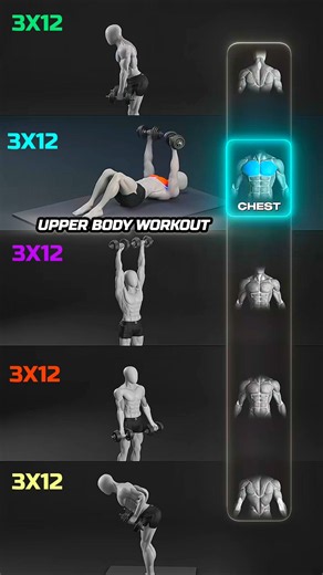 Upper Body Dumbbell Workout 💪 Lats, Chest, Biceps & Triceps