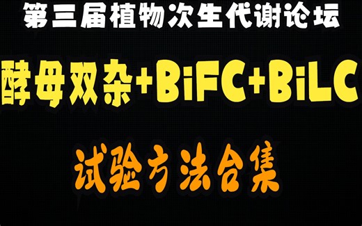 酵母双杂+BiFC+BiLC合集