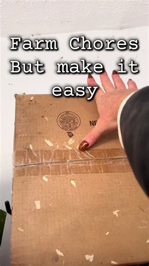 Easy Steps to Change Chicken Nesting Pads