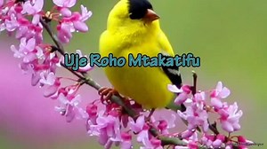 Uje roho Mtakatifu Sekwensia By Gregory Charles Tazama wimbo wa Pentekoste hapa Youtube link👇 https://youtu.be/7VyWlcyD99c | Beno Mkatoliki