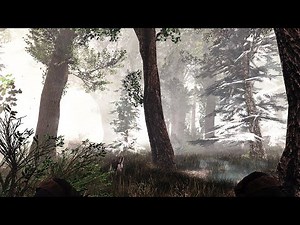 Fallout 4 Gameplay 2022 With Fruity ENB