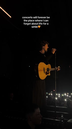 Exploring the Magic of Concerts with Zartmann and Provinz