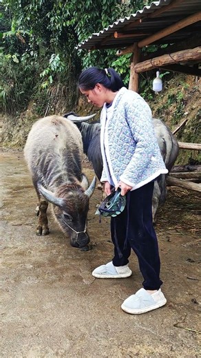 Record my rural life