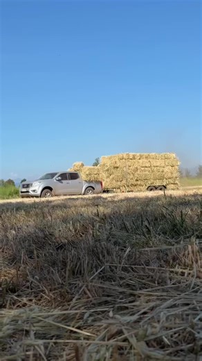 Camioneta Nissan NP300 4x4: Modelo 2018 en Chile