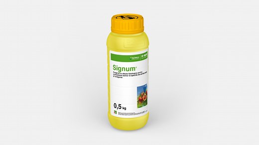 Fungicide/Signum® - Fungicid pentru tomate si samburoase