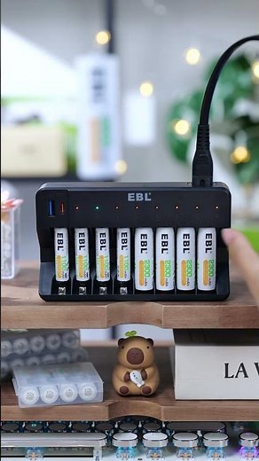 ⚡EBL Fast Rechargeable Battery Charger ⚡