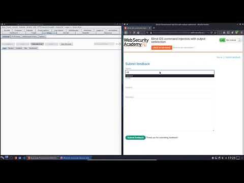 Blind OS command injection with output redirection (Video solution, Audio)