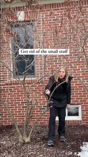 How To Prune A Limelight Hyrdrangea: Some Things You Need to Know