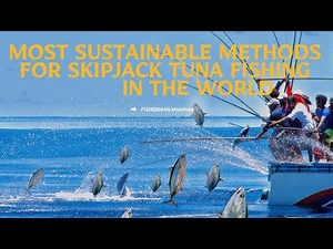 ONE - BY - ONE | WORLD MOST SUSTAINABLE METHODS FOR SKIPJACK TUNA FISHING
