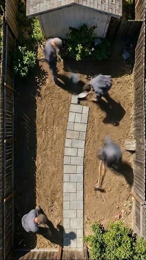 Satisfying Garden Transformation (Fast Timelapse)