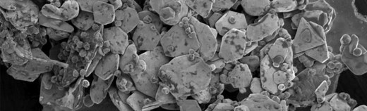 FEG-SEM | Field Emission Gun | Scanning Electron Microscopy