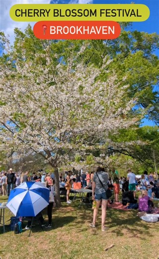 120K views · 1K reactions | Spring in Atlanta is in full bloom! The...
