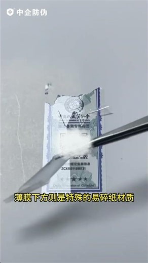 Why Destructible Labels Matter | Tamper-Evident Anti-Counterfeit Solution Explained #lasercutter