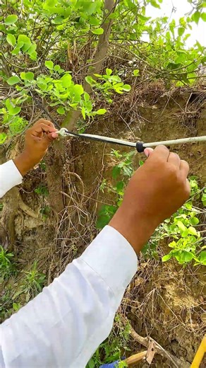 This knot is taught to me by an expert!