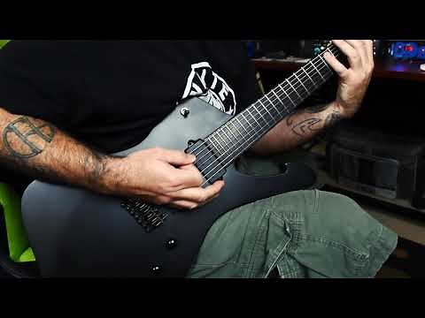 Wes Hauch - Ibanez Iceman ICTB721