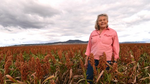 Food vs. fuel – what should farmers be growing for?