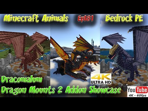 Dracomalum Dragon Mounts 2 Addon Showcase Ride Dragons Minecraft Bedrock PE Minecraft Animals Ep181
