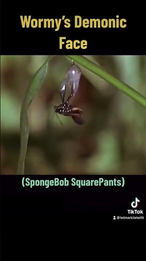 Terrifying close up of a butterfly’s face in SpongeBob #shorts
