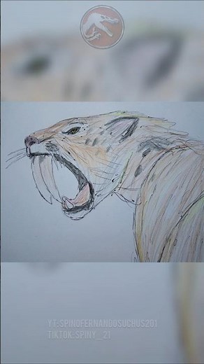 Walking with beasts Smilodon 🐅 #walkingwithbeasts #smilodon #drawing #menggambar #prehistoriclife