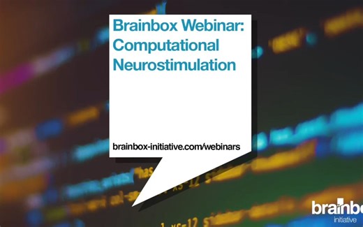 Brainbox Initiative Webinar：神经调控仿真计算 Computational Neurostimulation