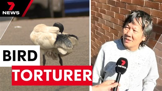 105K views · 938 reactions | A bird torturer who previously tried to cook and eat an ibis while high on meth has been jailed for at least a year on several new charges. Download the 7NEWS app: 7news.link/7newsapp #7NEWS | 7NEWS Sydney | Facebook
