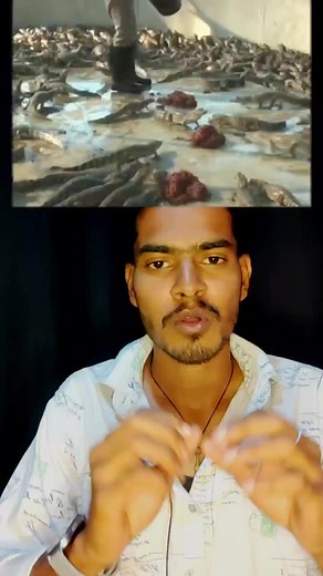 2.4M views · 112K reactions | ಮೊಸಳೆ Farming information in Kannada. #kannada #kannadacomedy #reelskannada #kannadareels #kannadafacts #factsinkannada #kannadamotivation #kannadamovie #callmesanthuofficial #kicchasudeep #dboss #Kannadamusically #kannadafunny #kannadadubs | Info by Santhu | Facebook