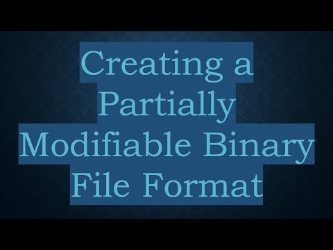 Creating a Partially Modifiable Binary File Format