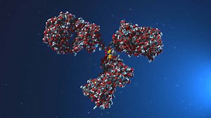 Characterization of Antibody-drug Conjugates » ADC Review