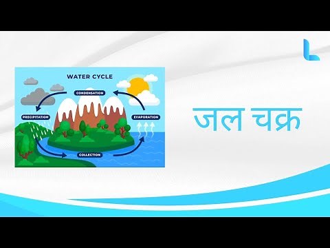 Water Cycle | Explained in Hindi | Geography | Animation Video | Thelearnyn