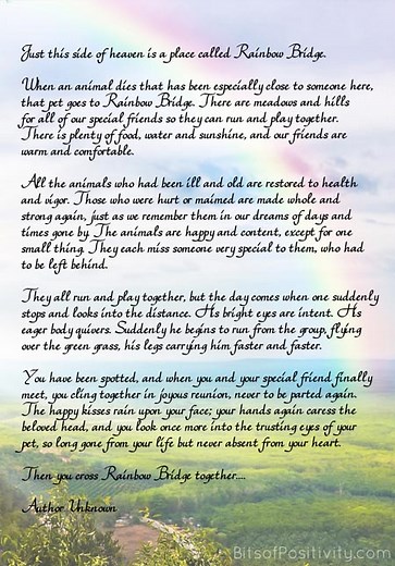 'Rainbow Bridge' Free Printable Poem {Pet Loss}