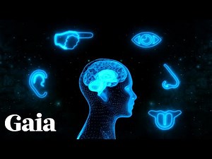 CREATING Beyond the ILLUSION of Your Five Senses