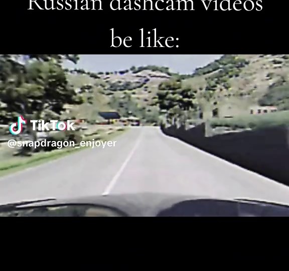 Exploring Russian Dashcam Videos: A Unique Perspective