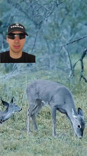 ARCHERY SHOT: WELL-PLACED SHOT? 🏹🎯