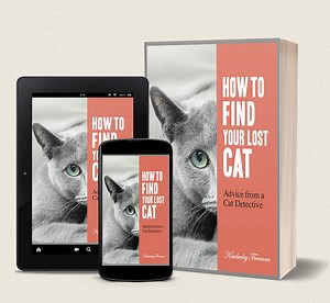 pet detective finds cat lost 38 days by LOST CAT FINDER