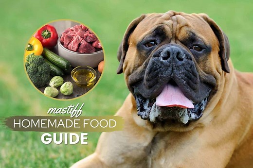 Homemade Food Recipes For Mastiffs [How to Cook Guide] - Canine Bible