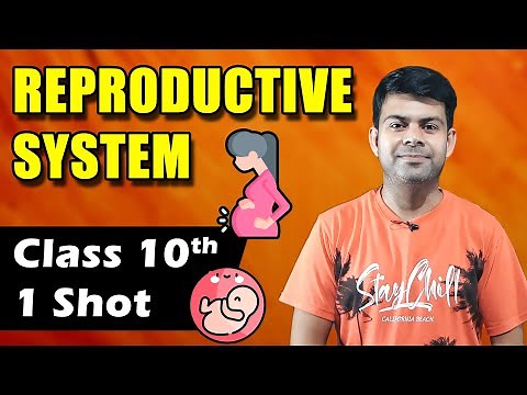 Reproductive System in 1 Shot | Human Reproduction | Class 10th Biology