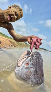 Unbelievable technique sandman catching underwater big monster fish #fish #fishing #reels #video | Fisherman Animal Lover-Original