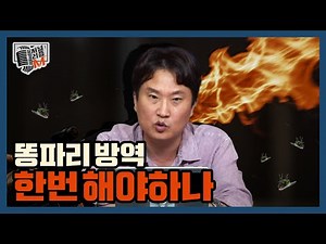 [저널리즘M] 똥파리 방역 한번 해야하나
