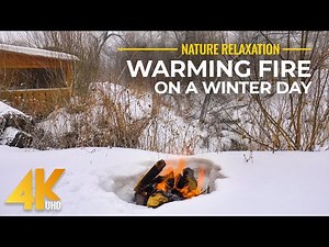 Warming Fire on a Cold Winter Day (4K UHD) Relaxing Crackling of a Campfire + Snowy Day Ambience