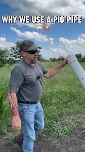 257K views · 1.6K reactions |  Why a pig pipe instead of a feeder? Because cows are destructive. Todd shows you how it works, why it’s better for hogs, and what makes sour corn so dang effective. It’s the little tricks that make the difference in this game. #PigPipe #PorkPolice #CornForPigs #FeralHogControl | Pork Police | Facebook