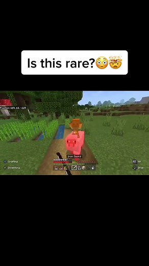 Wait till the end😳😂@lt.playss #fyp #foryou #foryoupage #gaming #gamingmemes #gamelancer #minecraft #minecraftmemes #minecrafthacks #mc #gamer
