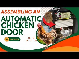 I Built A Smart Chicken Coop With An Automatic Door
